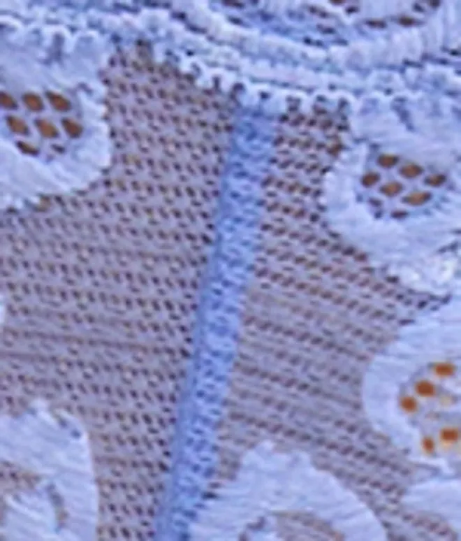 Feathers Plunge Bra - French Blue
