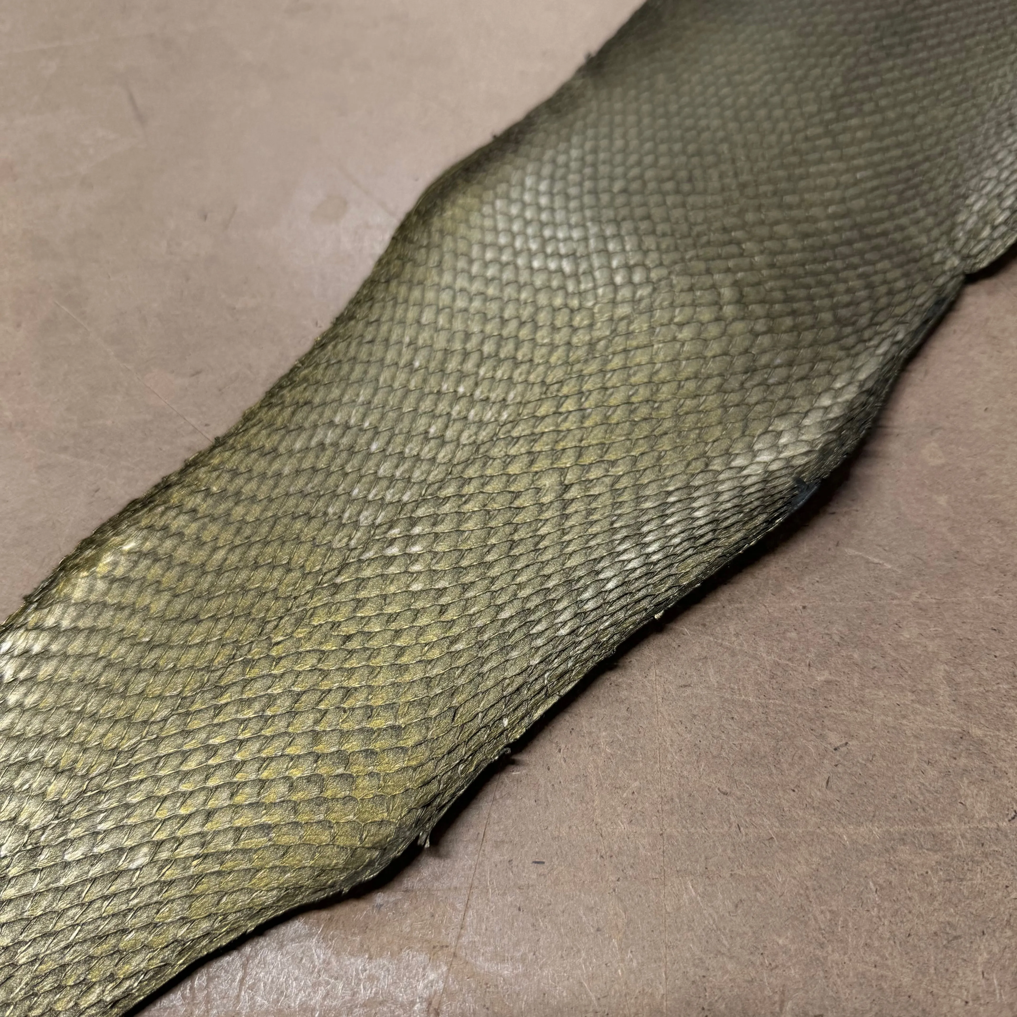 Metallic Salmon Skin